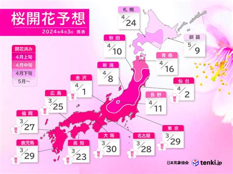 開花|2024年桜の開花・満開予想（第14回）を発表 